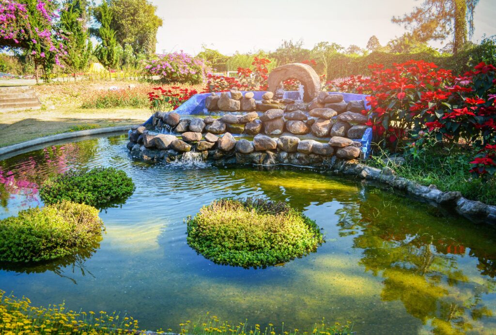 géothermie sur bassin d'eau 